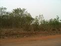 HPIM0310_jpg