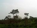 HPIM0361_jpg